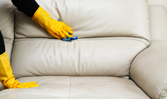 Средства для чистки диванов: бытовая химия и народные рецепты, советы поуходу за мебелью